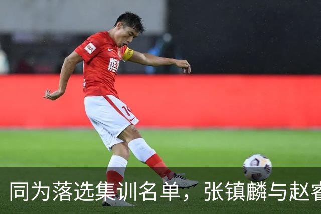 同为落选集训名单，张镇麟与赵睿的境遇差异何在？